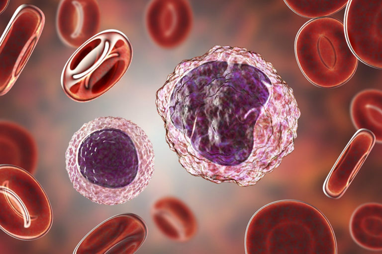 Monociti alti: quali sono le cause e quando preoccuparsi – Biomedical ...